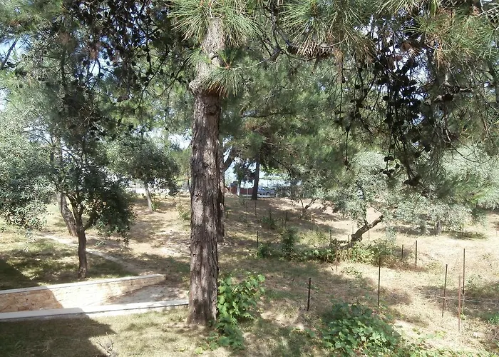 Barouti Kinira